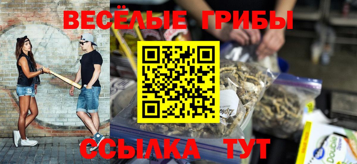 Кувандык  Галлюциногенные грибы MAGIC MUSHROOMS  Вход с VPN 